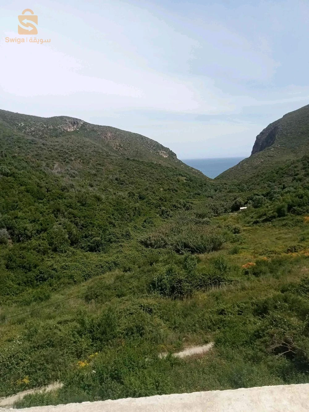 msid lbab bejaia