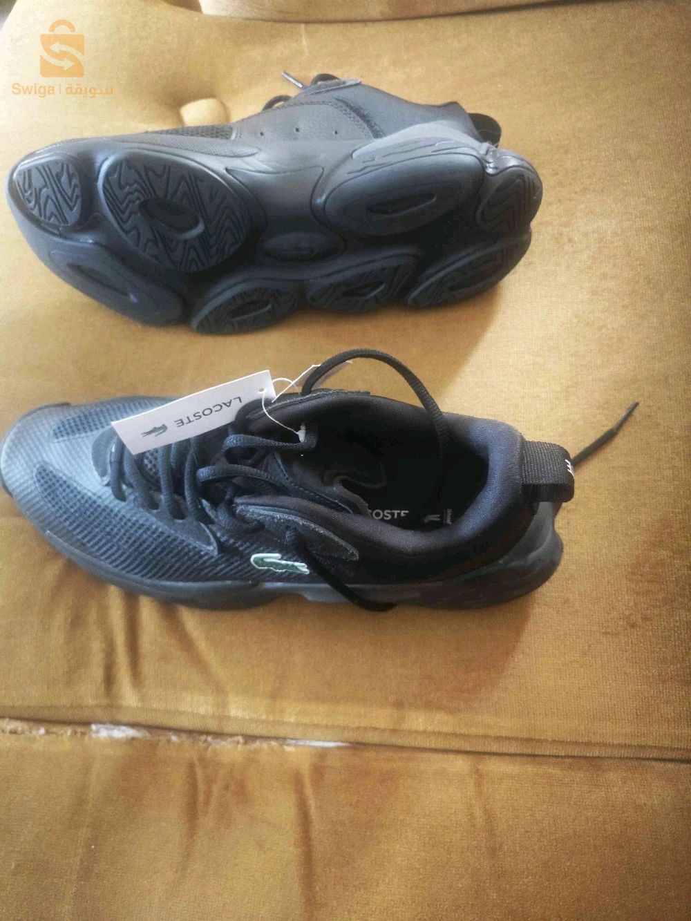vend basket lacoste