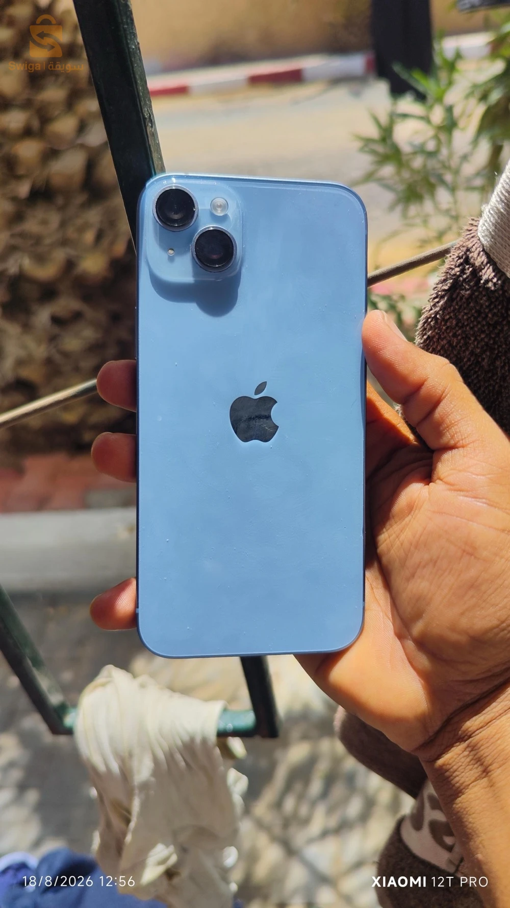 iPhone 14plus