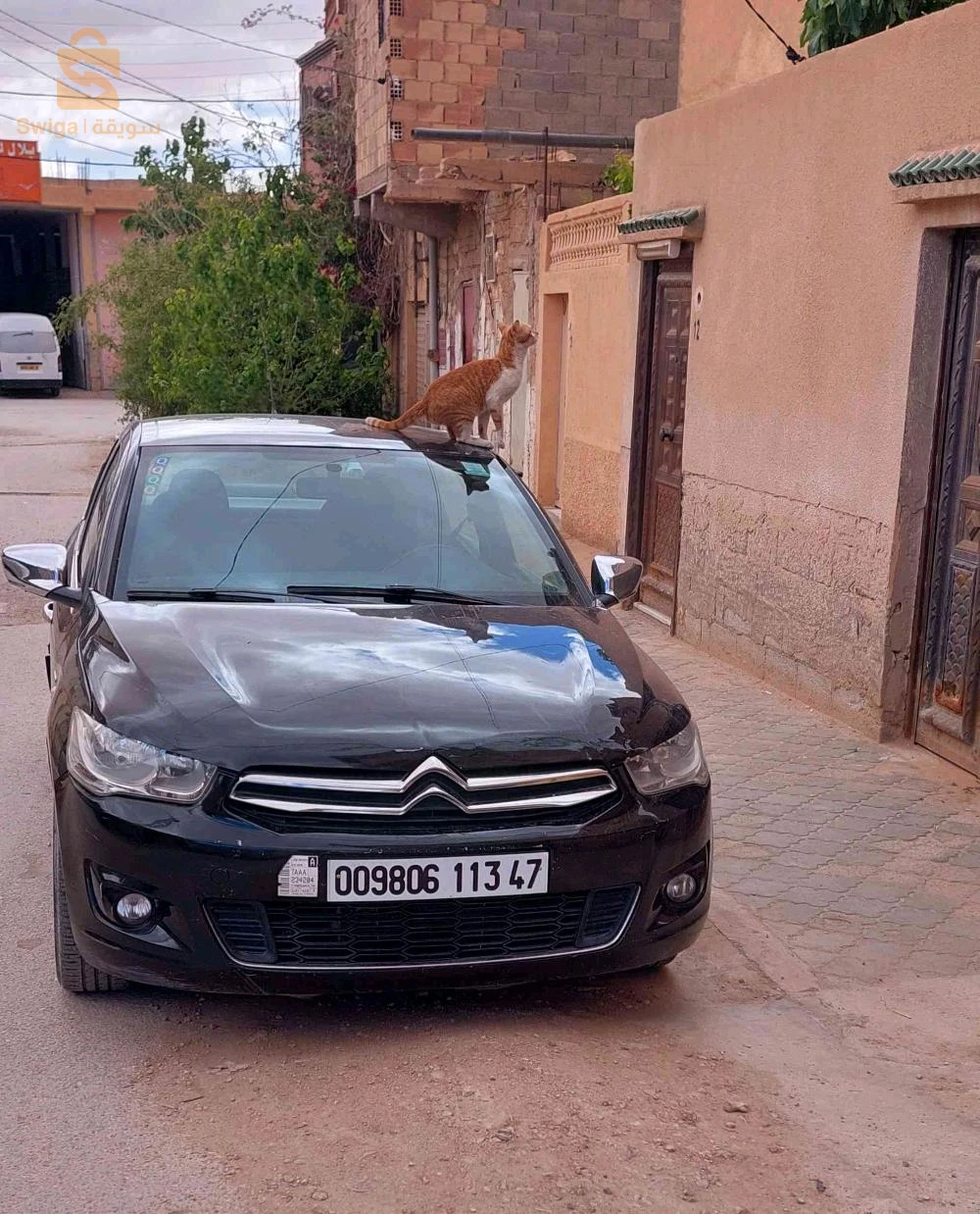 ستروين CELYSEE 2013 غرداية