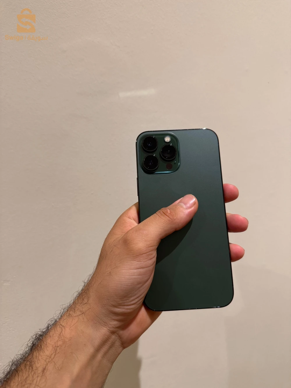 iPhone 13 pro max