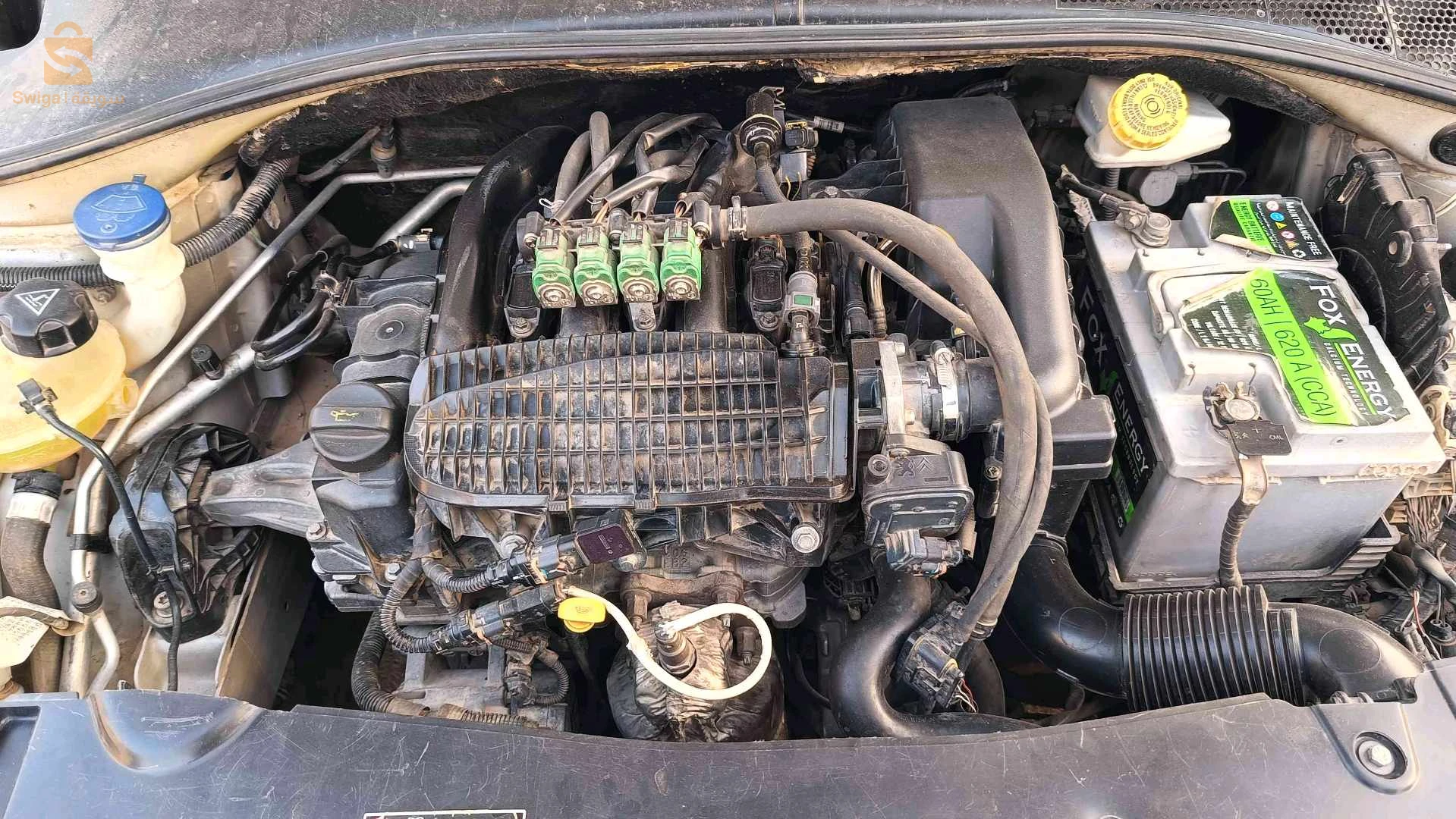 Peugeot 301 2014 TIARET