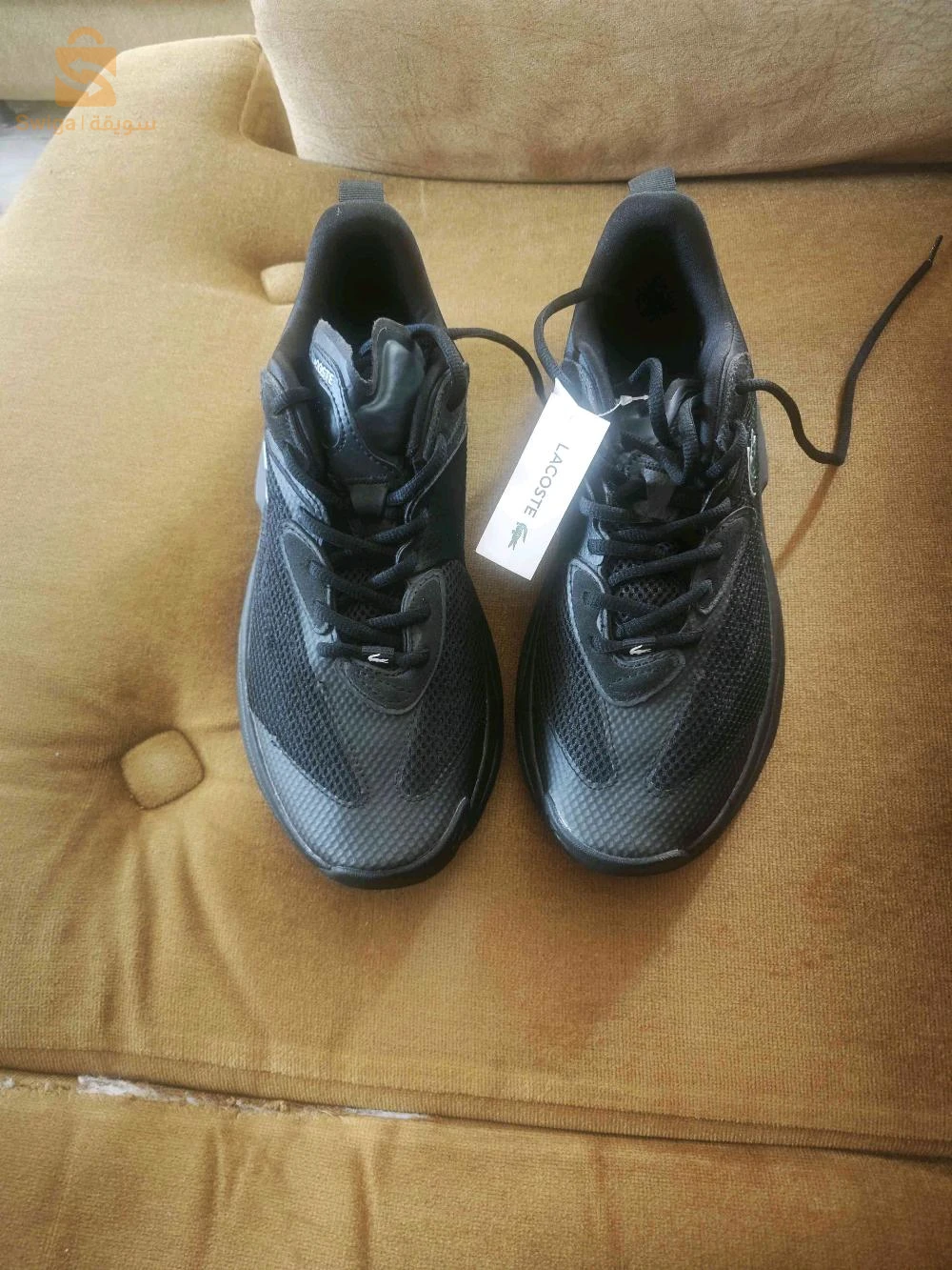 vend basket lacoste