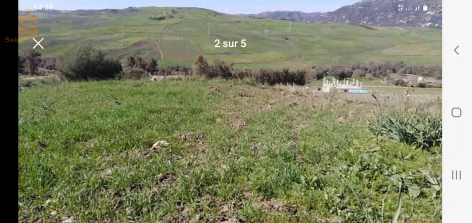 ارض سكنية للبيع