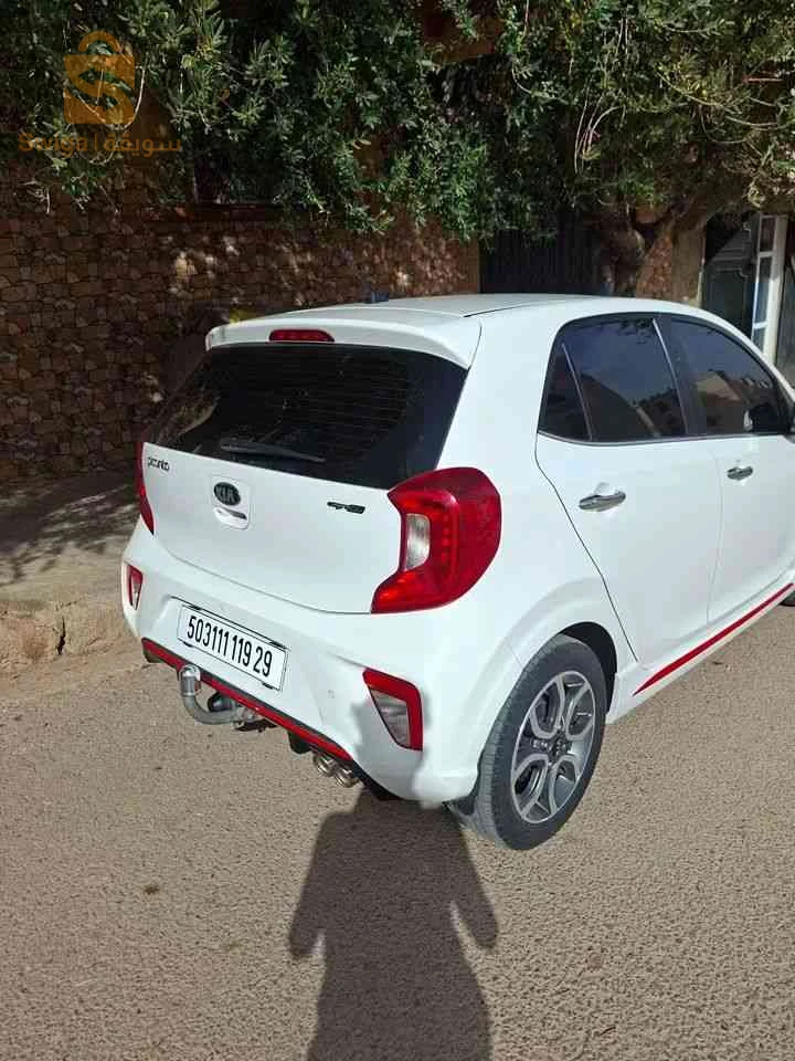 كيا Picanto 2019 معسكر