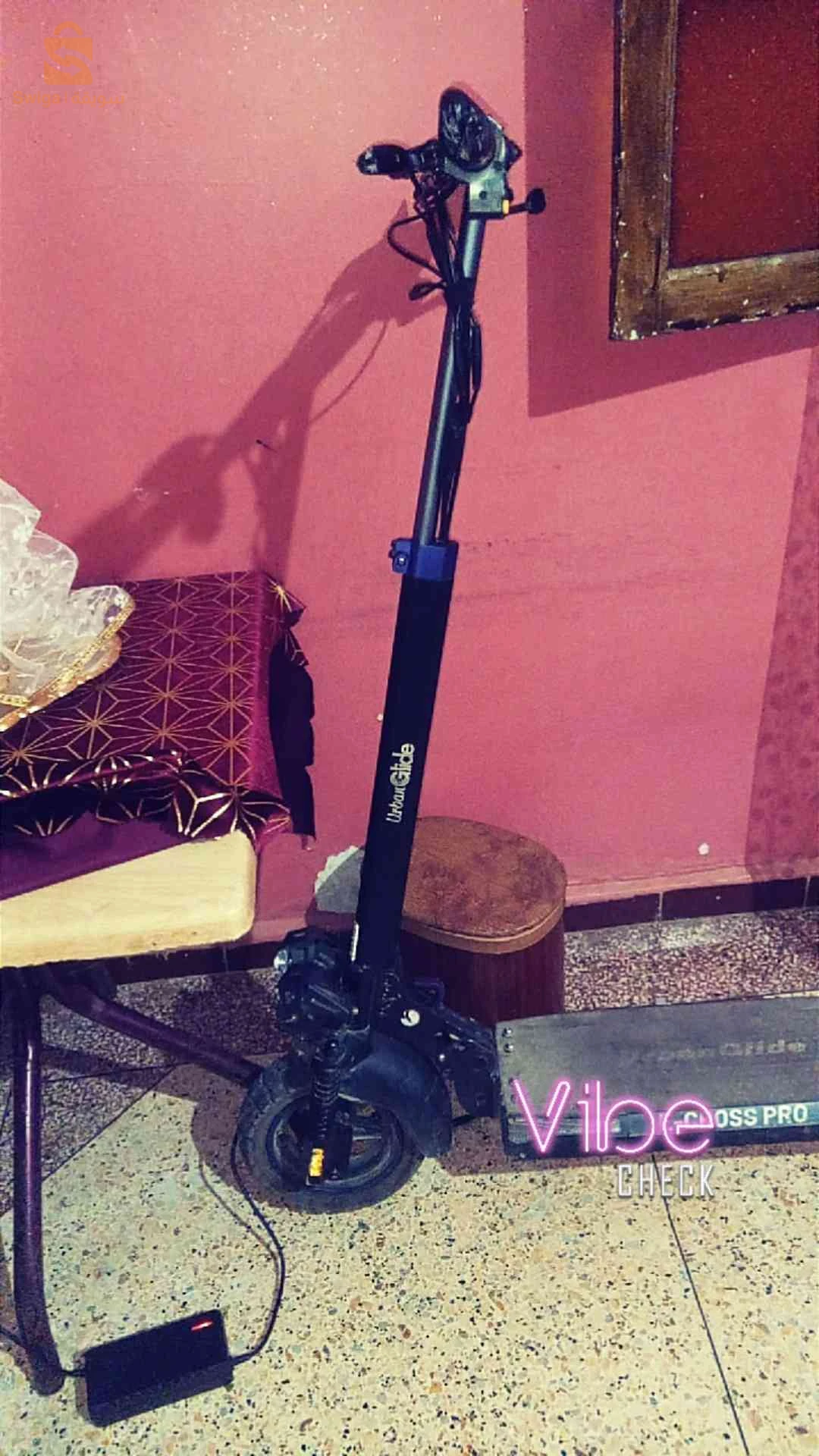 البيع تروتينات