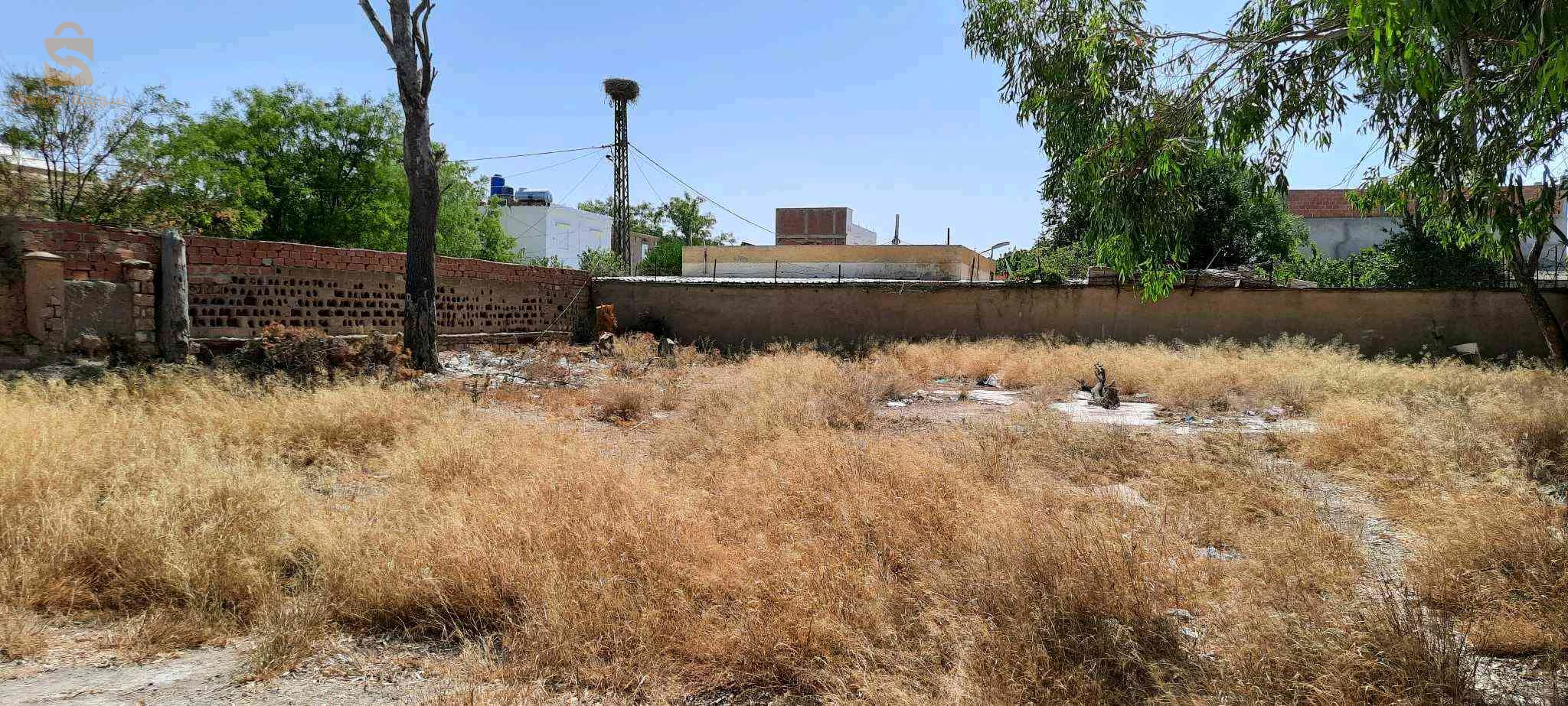 فيلا ل بيع في مسكينة فيل عرض جميل جدا مساحة الارض فيها 656و دار فيها 400متر معا عقد ا
الملكيه فرصه رائعه للاستثمار او للعيش رقم الهاتف 0558408594_0656837254