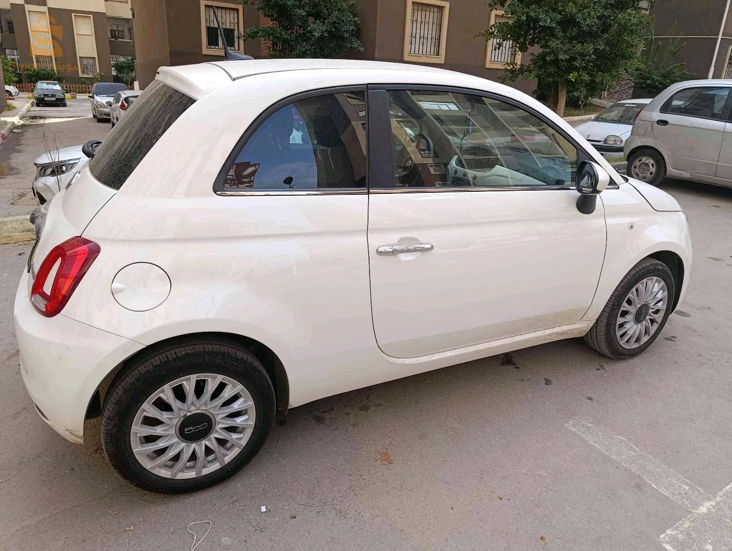 فيات 500 2025 الجزائر