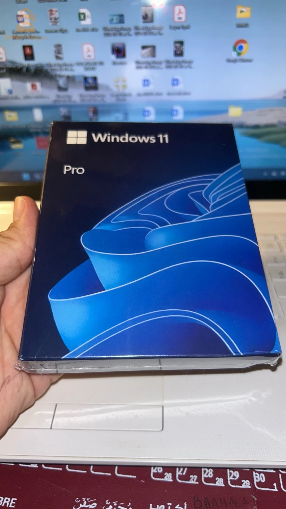 Windows