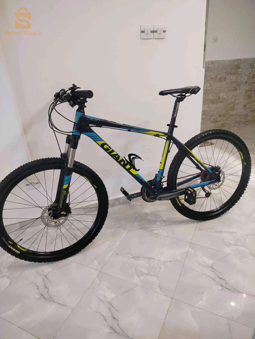 velo Giant original