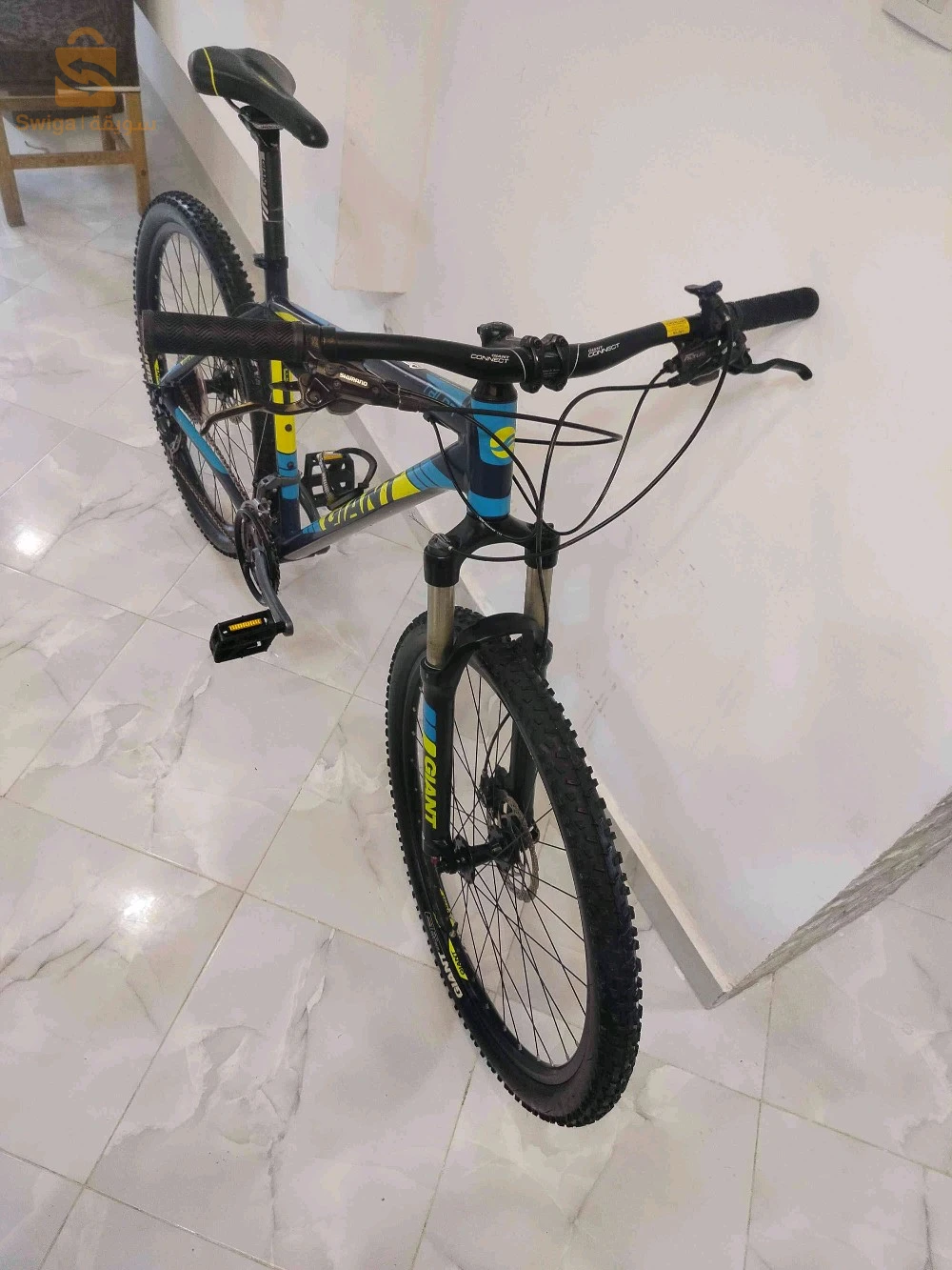 velo Giant original