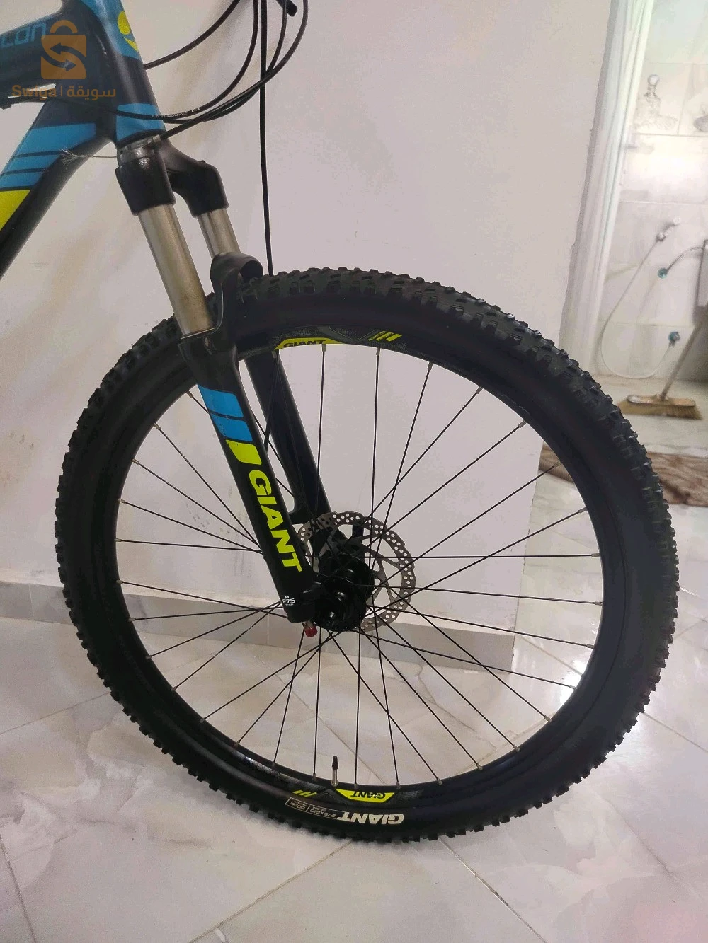 velo Giant original