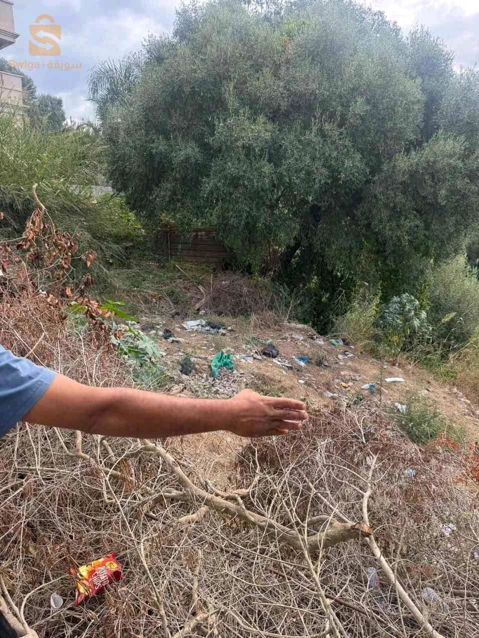 vente interne de 1000 mètres carrés à Bouzareah terrain accidenté dans une impasse