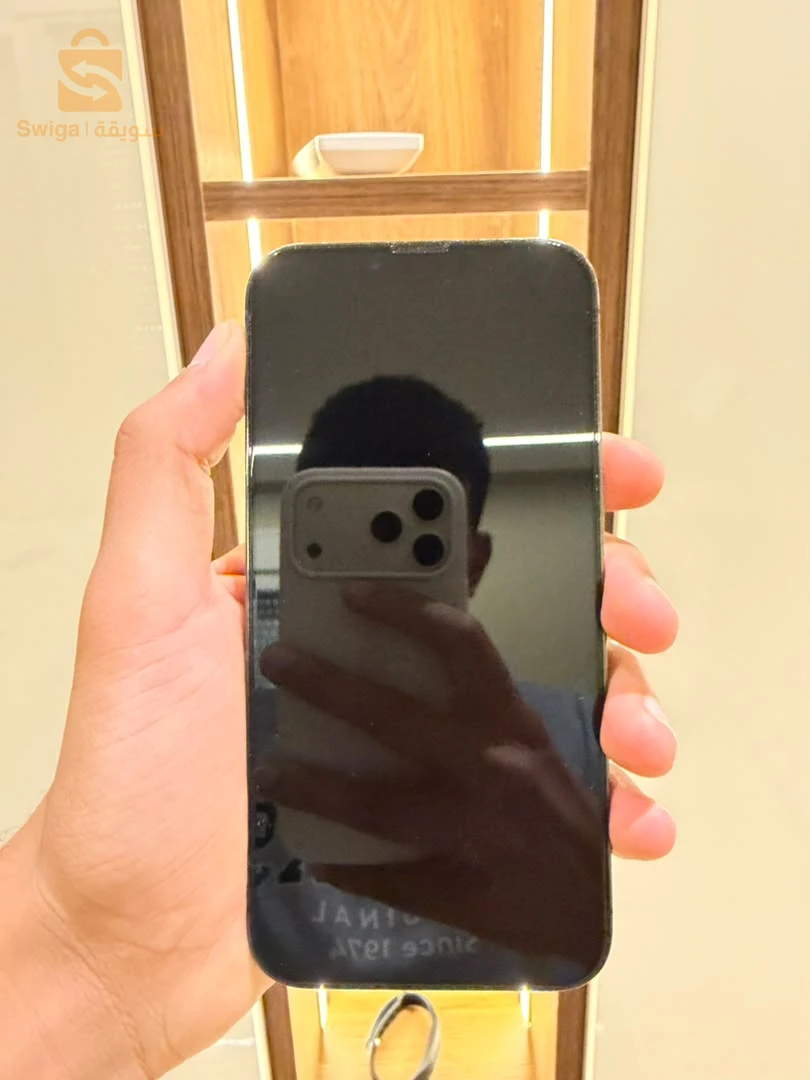 iPhone 13 Pro Max