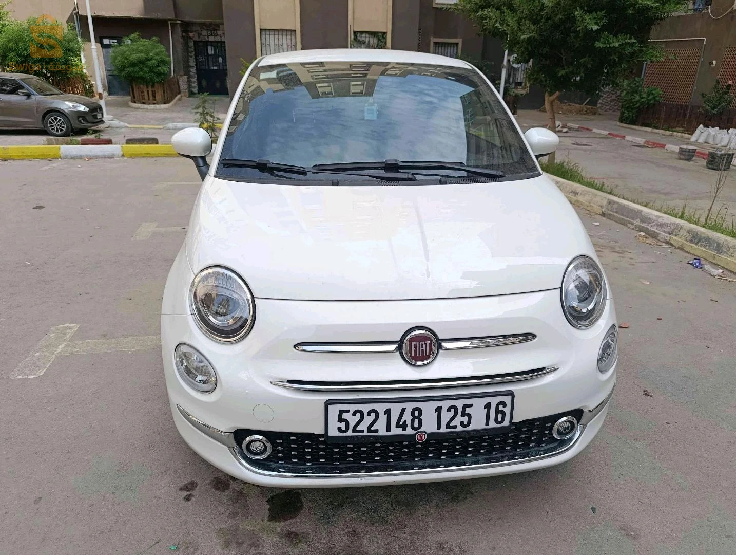 فيات 500 2025 الجزائر