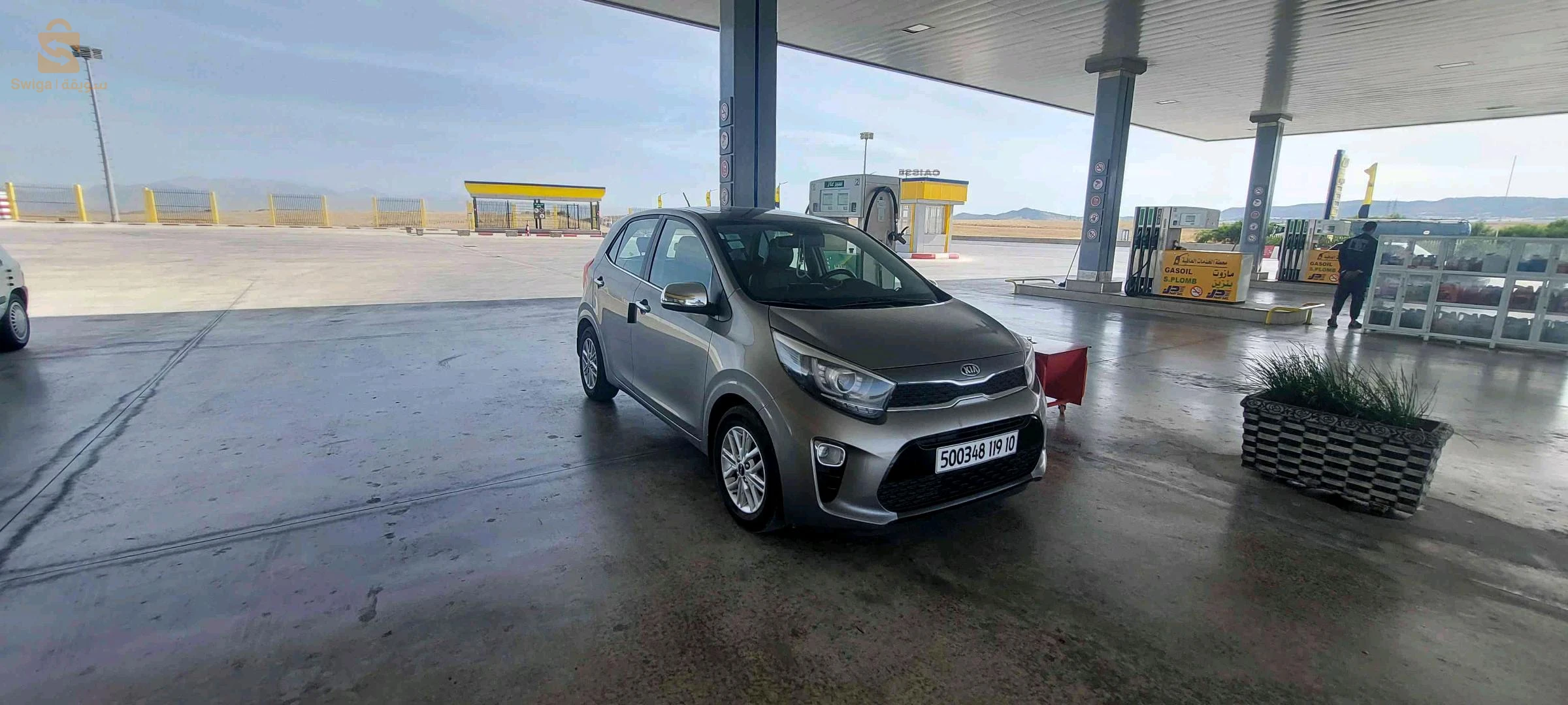 Kia Picanto 2019 M'SILA