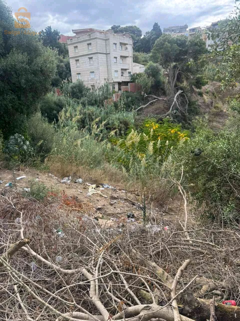 vente interne de 1000 mètres carrés à Bouzareah terrain accidenté dans une impasse
