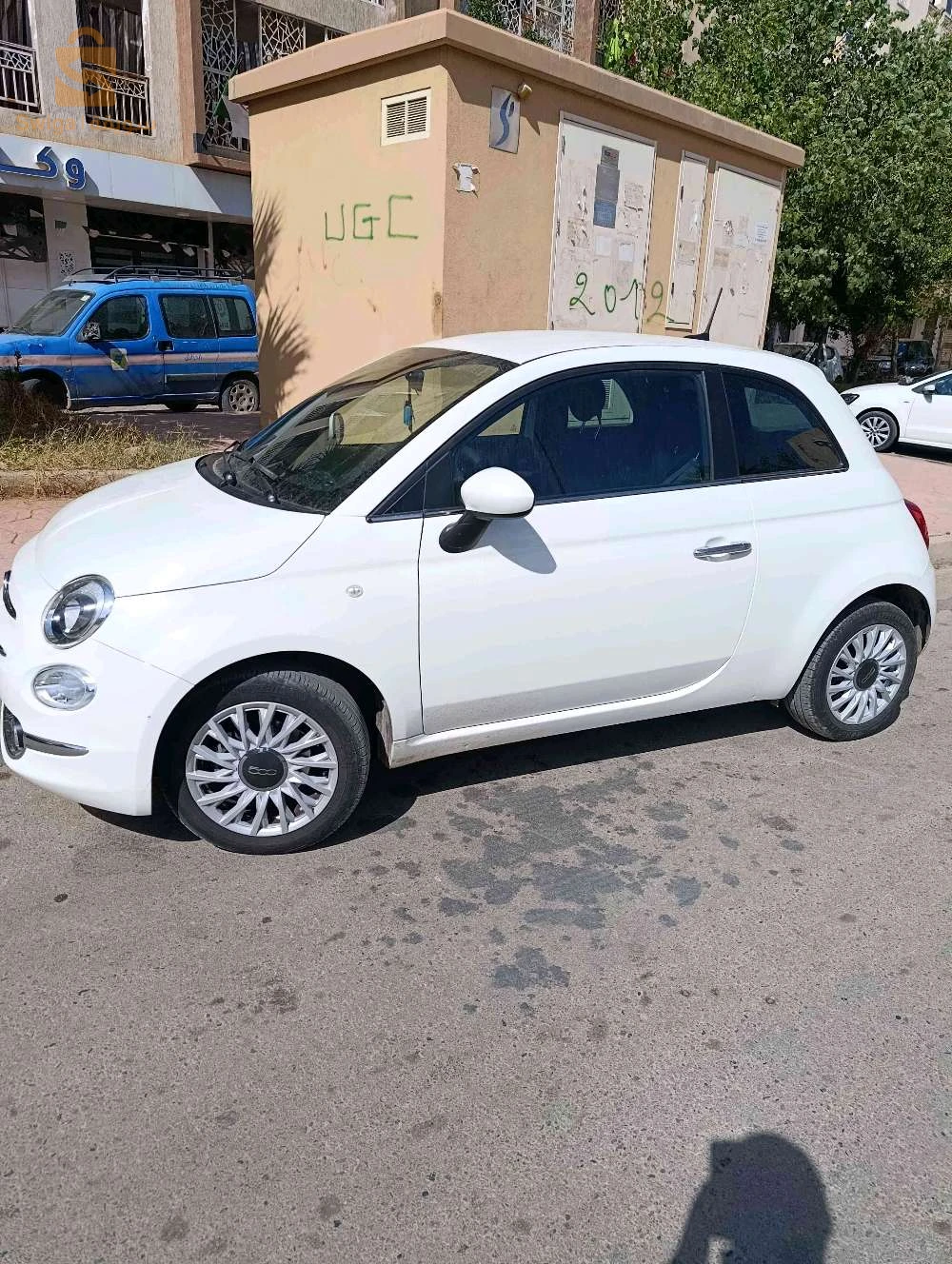 فيات 500 2025 الجزائر
