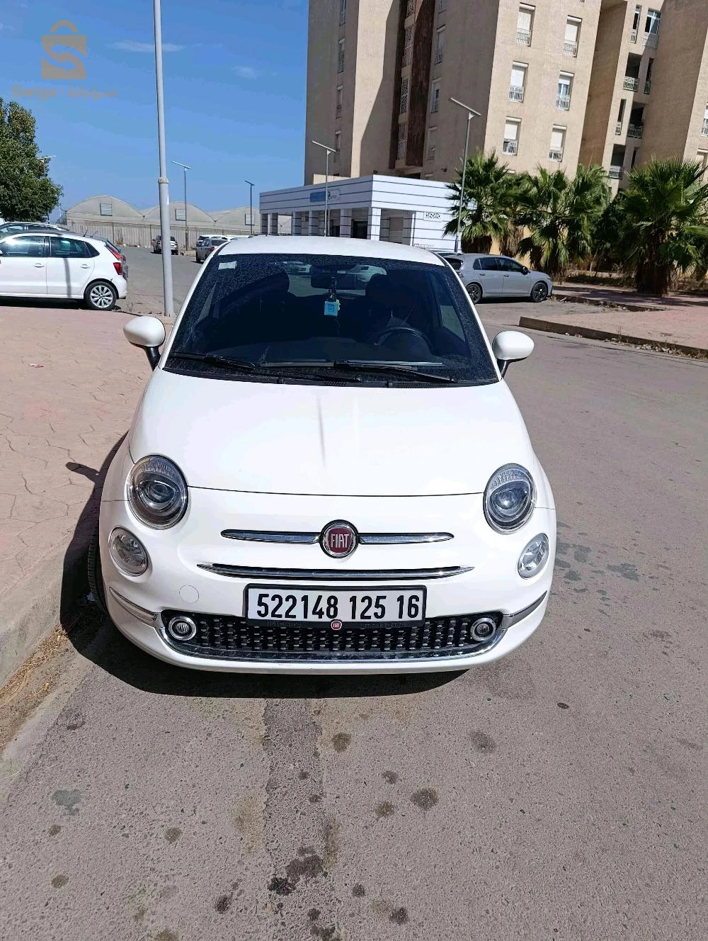 فيات 500 2025 الجزائر