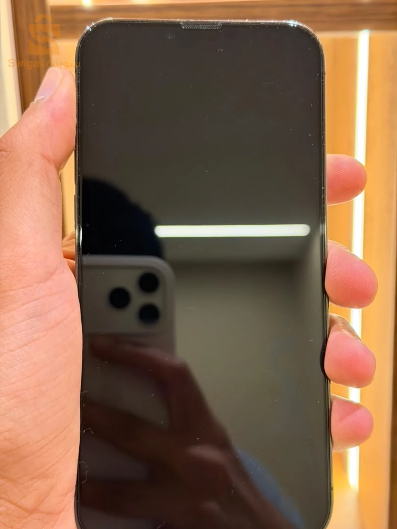 iPhone 13 Pro Max