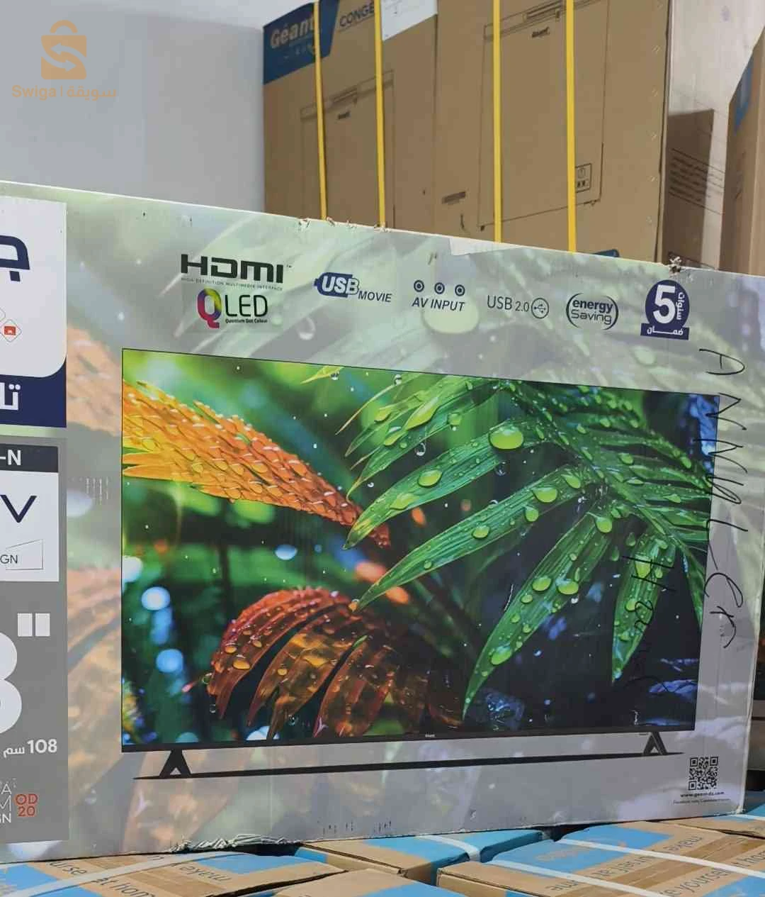 Télévision  43P Simple Marque Géant
