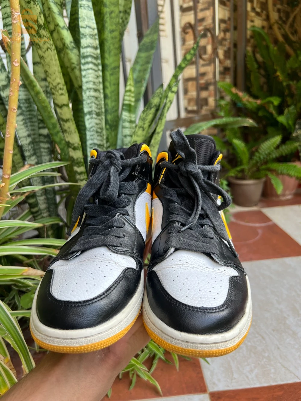 air jordan