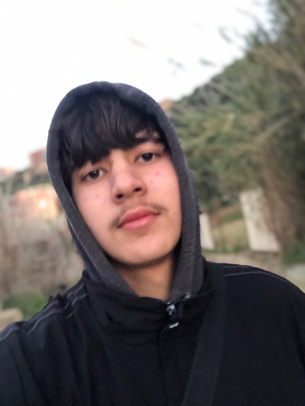 Profile
