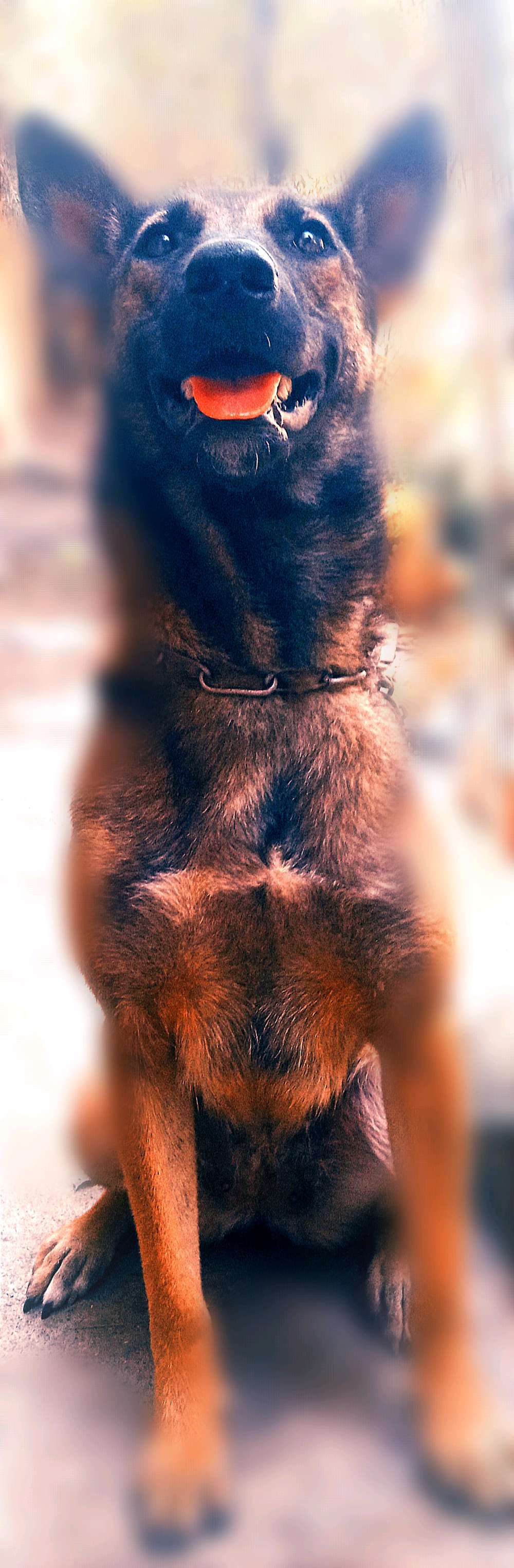 Profile