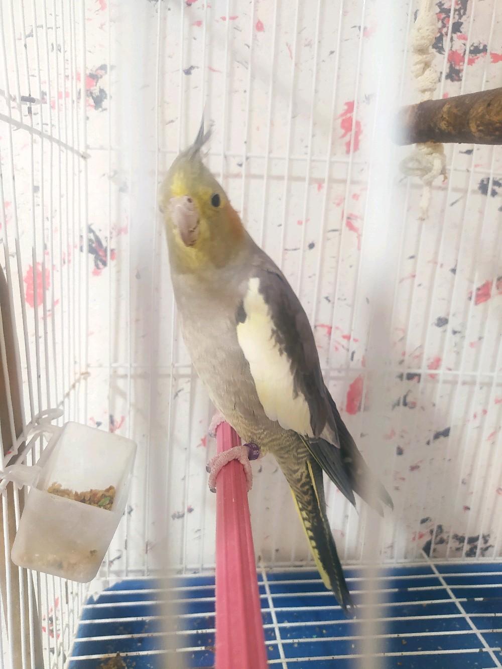 Profile