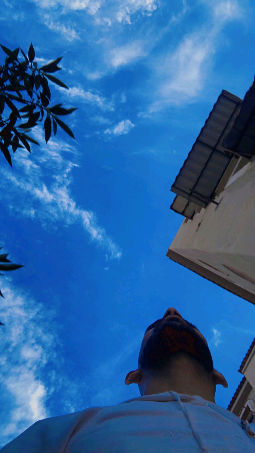 Profile