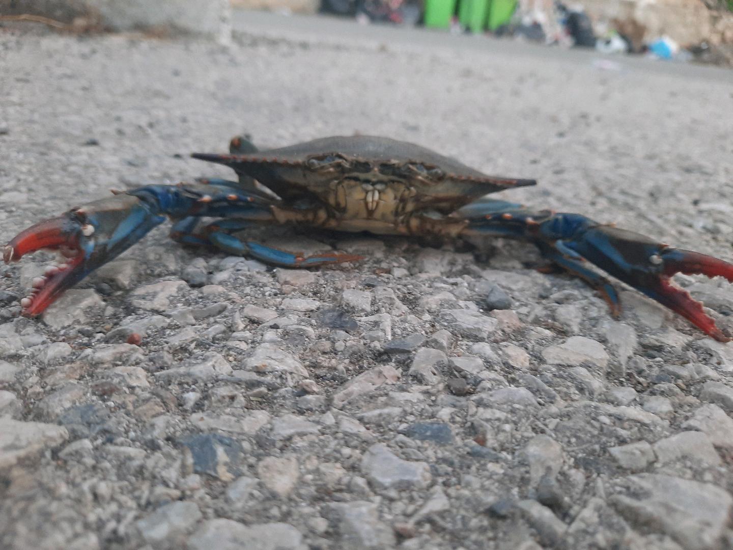 Profile