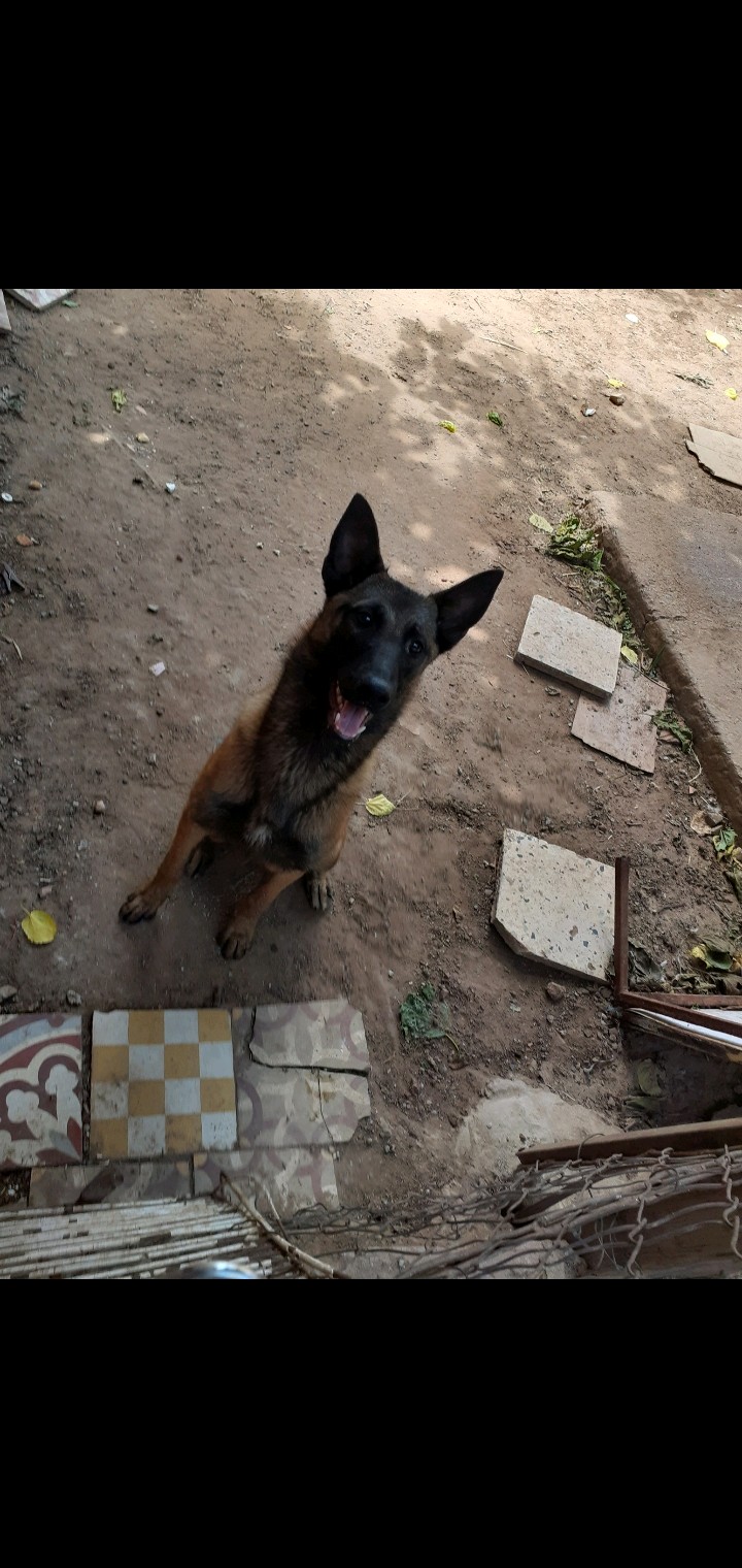 Profile