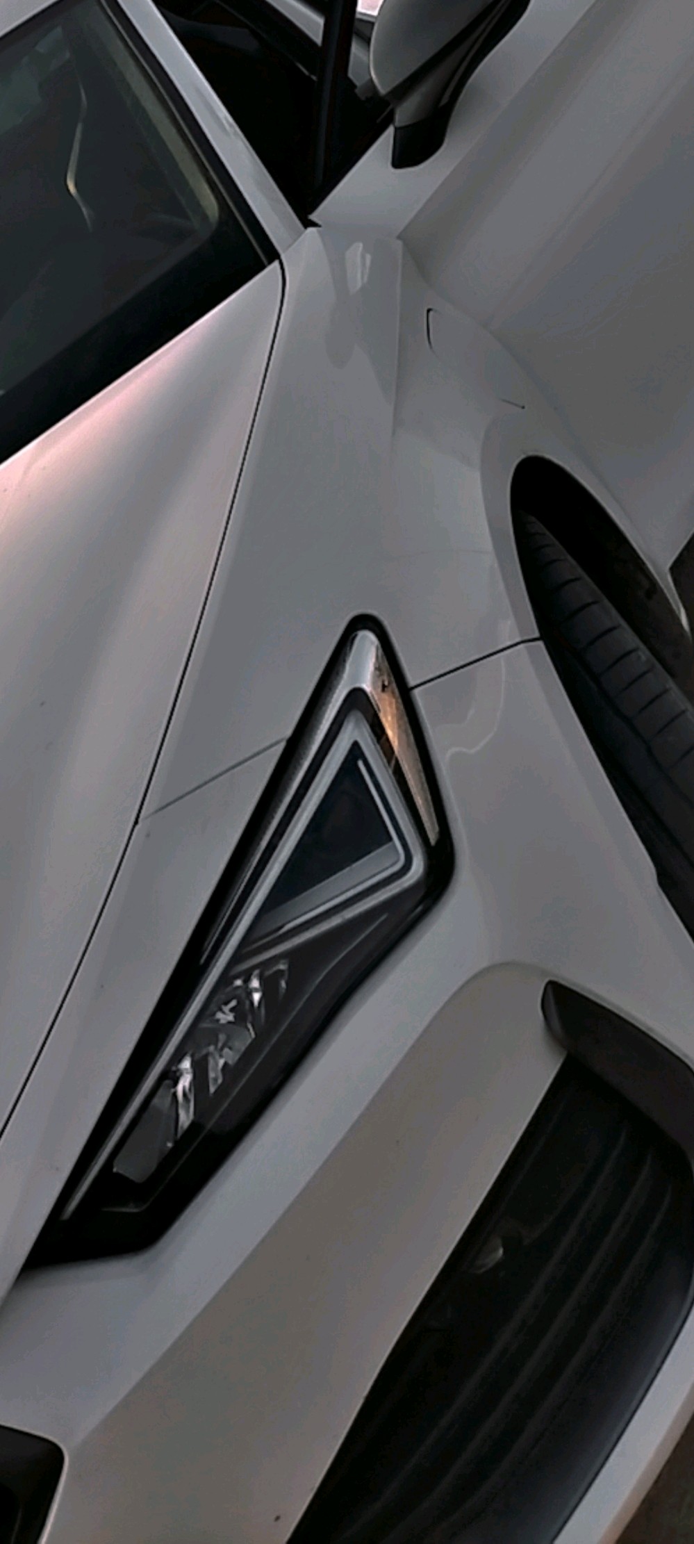 Profile