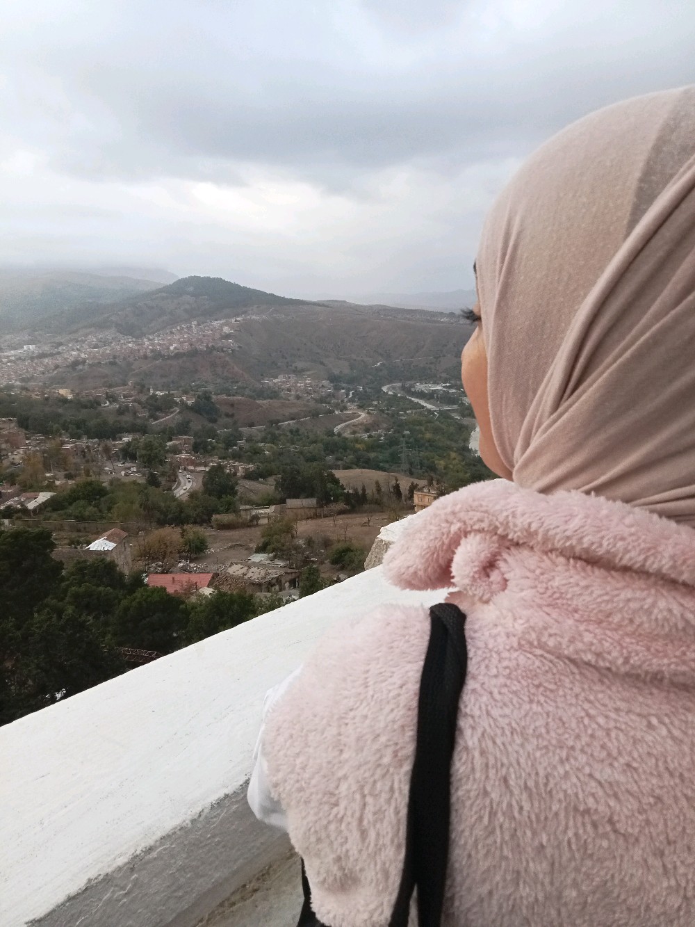 Profile