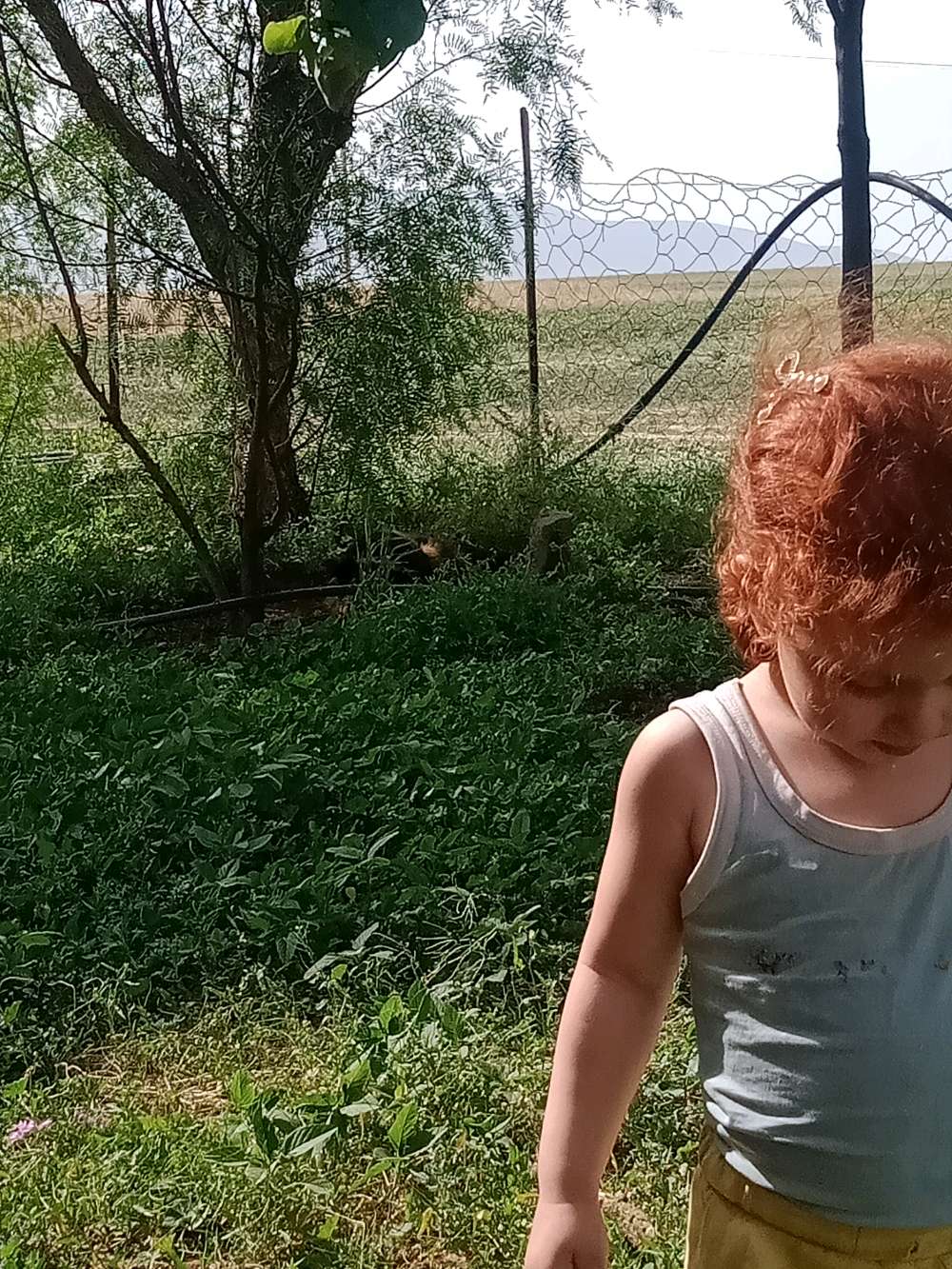 Profile