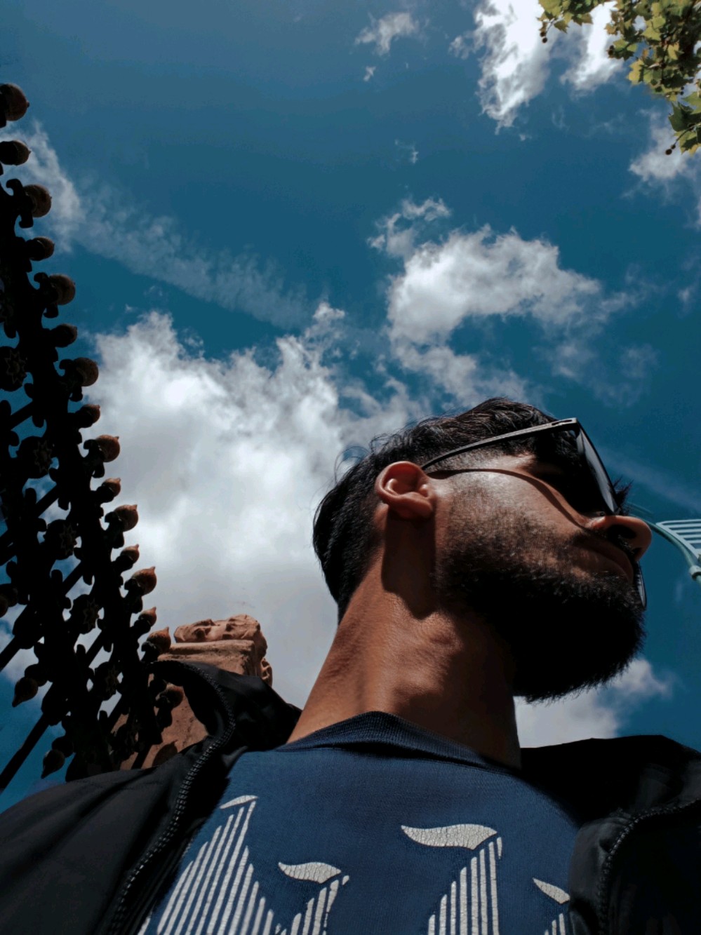 Profile