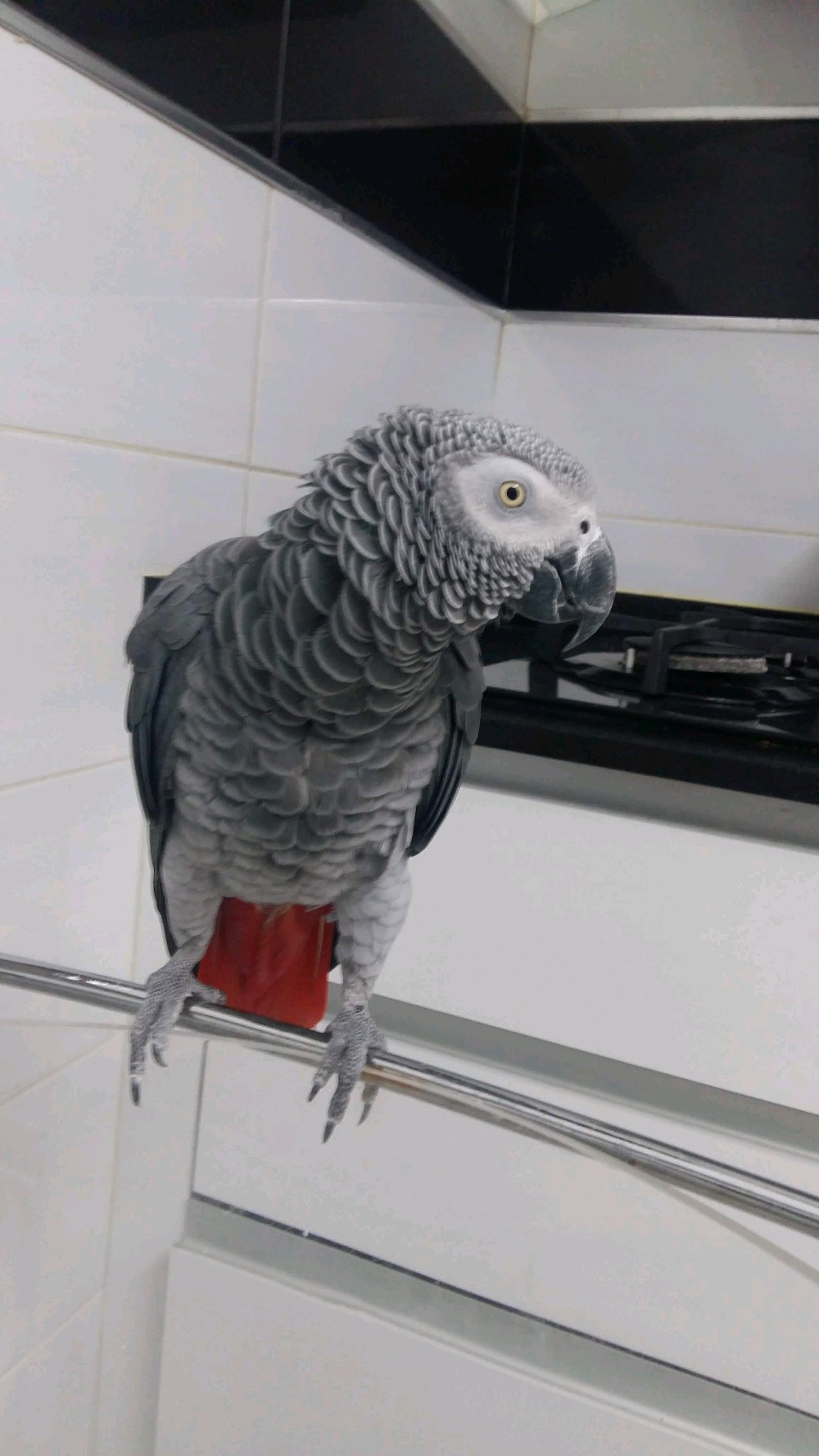 Profile