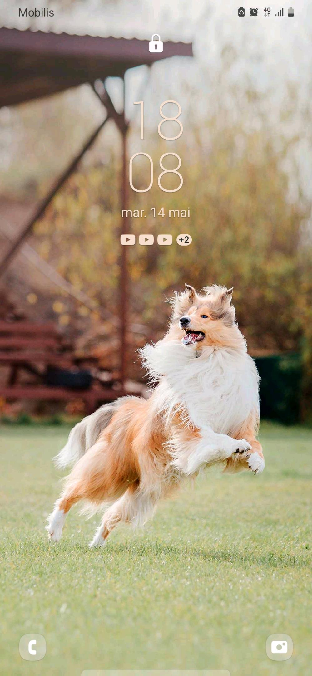 Profile
