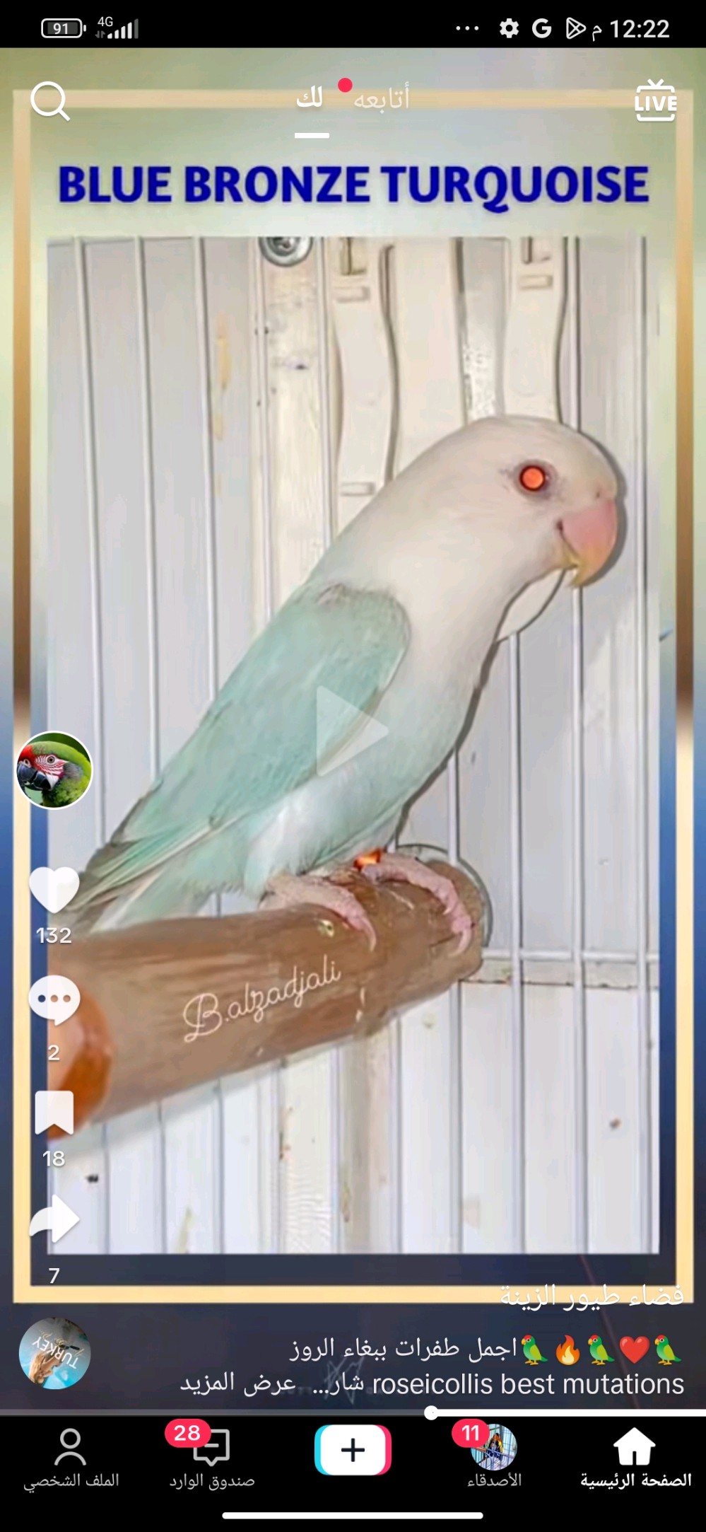 Profile