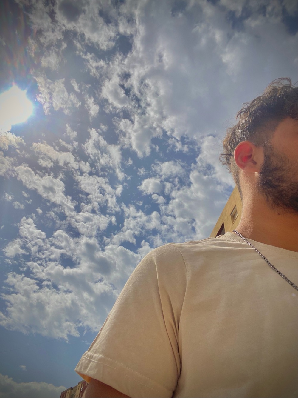 Profile