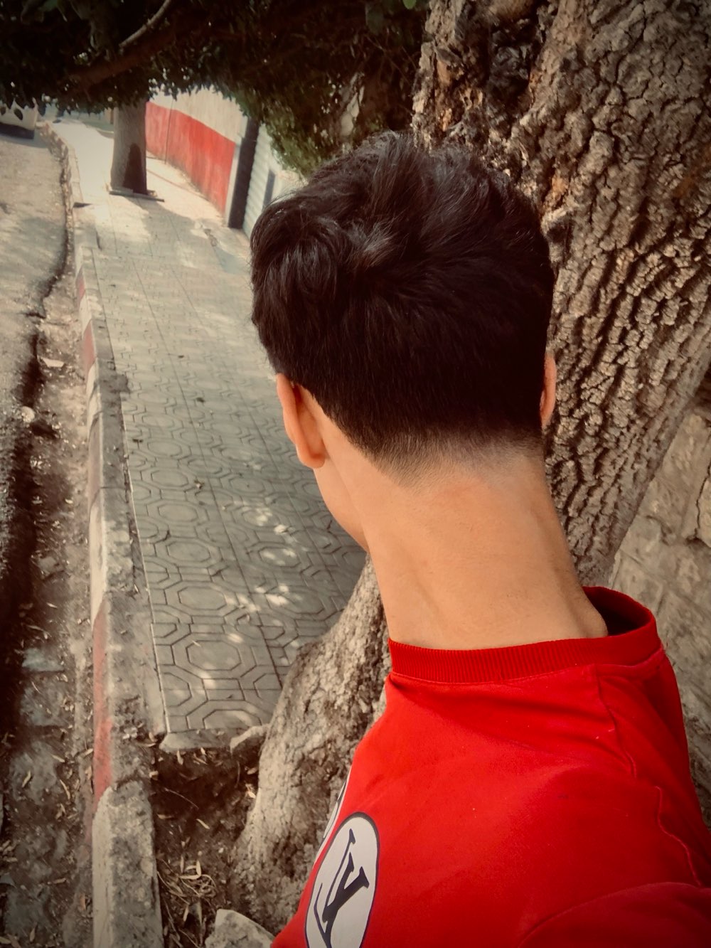 Profile