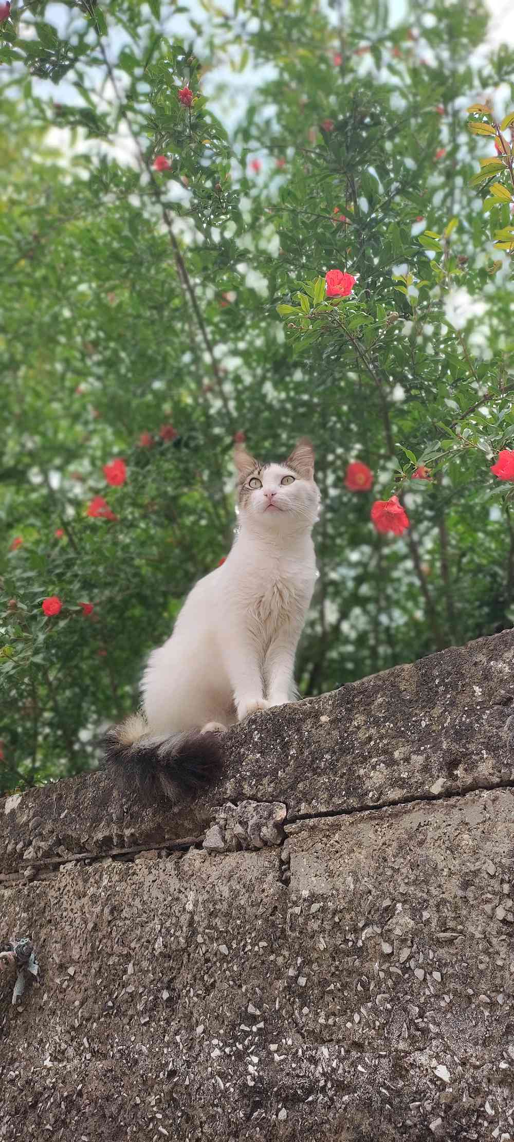 Profile
