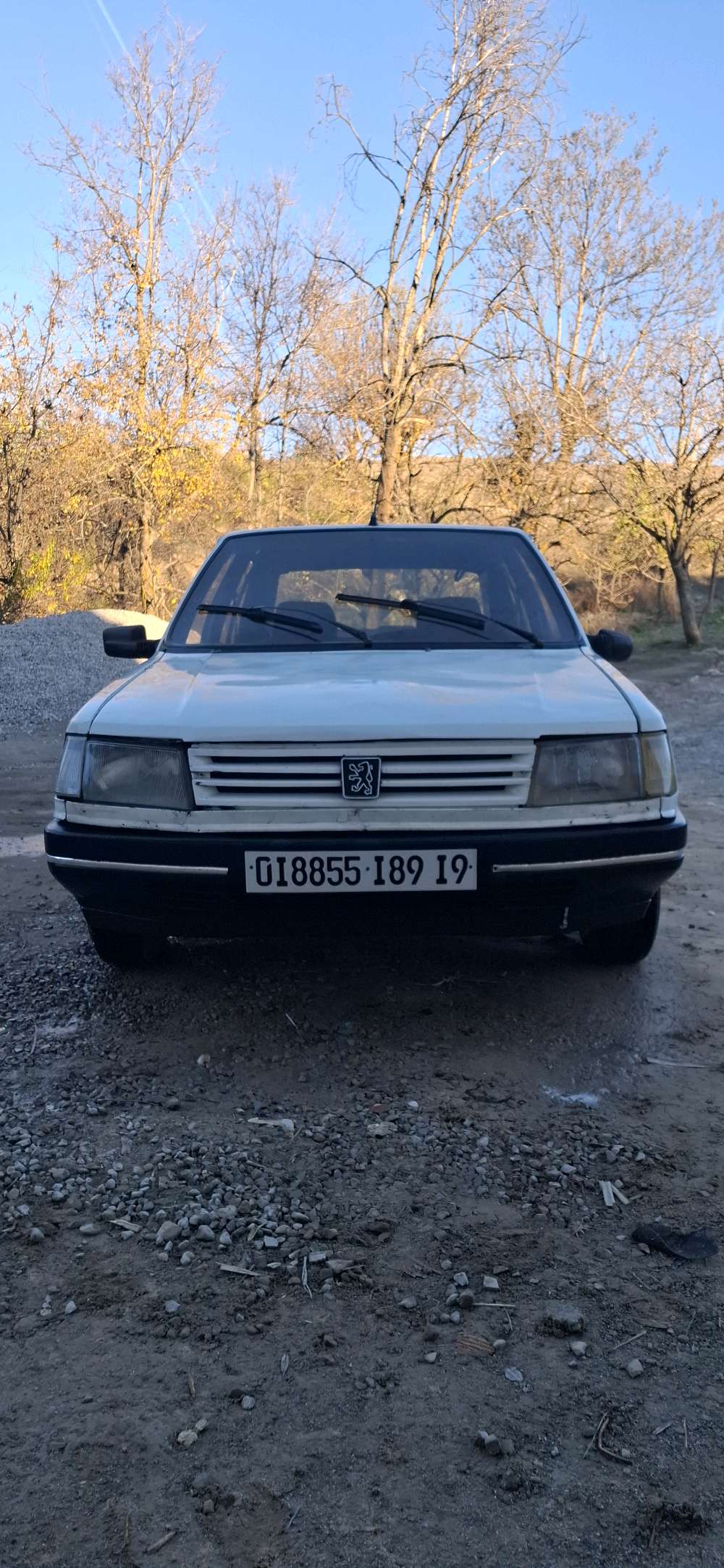 Profile