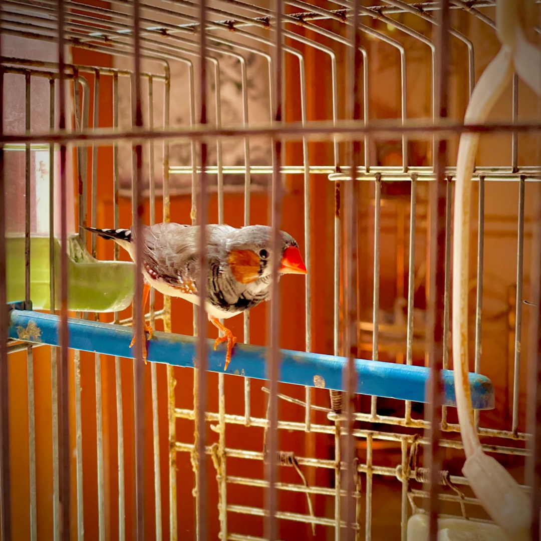 Profile