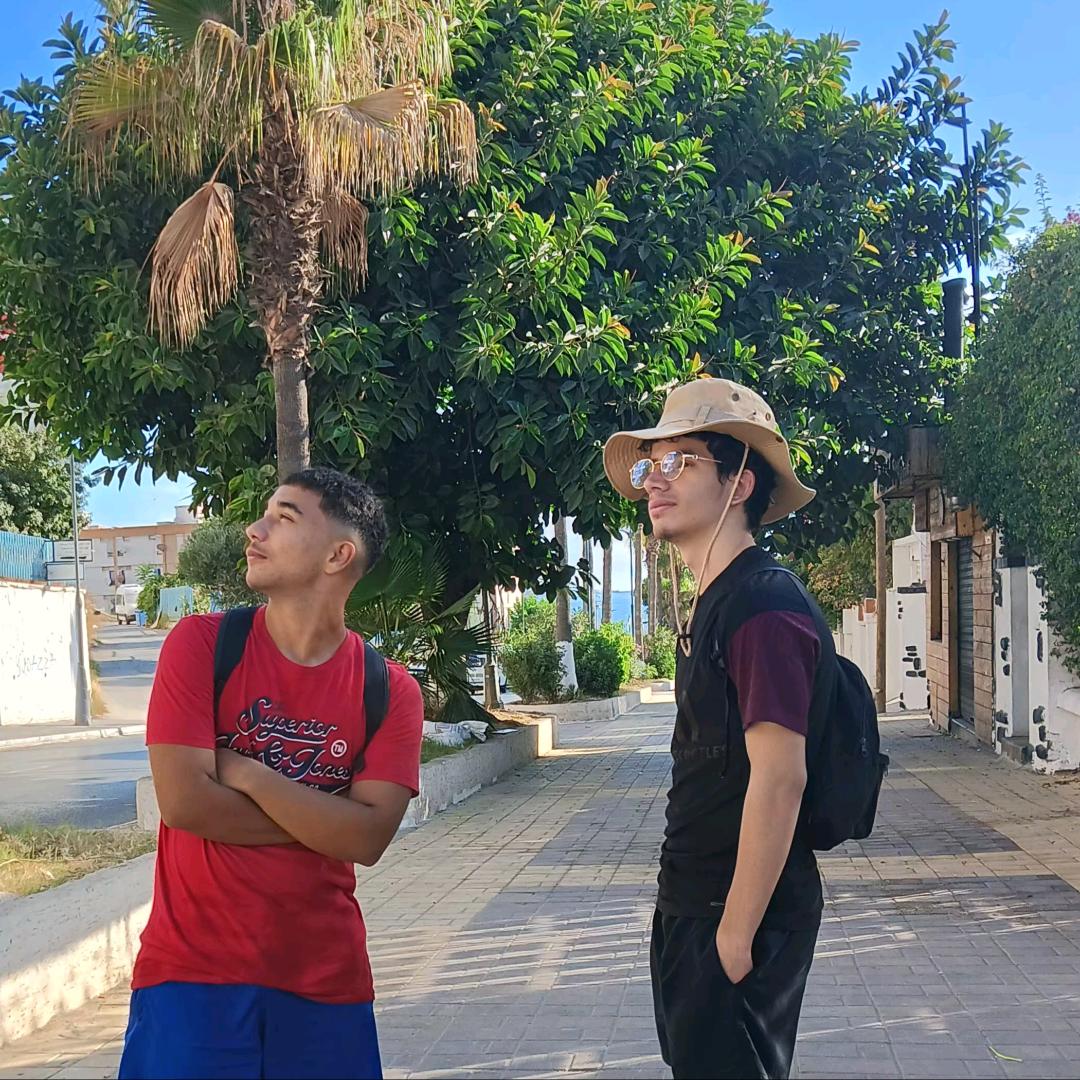 Profile