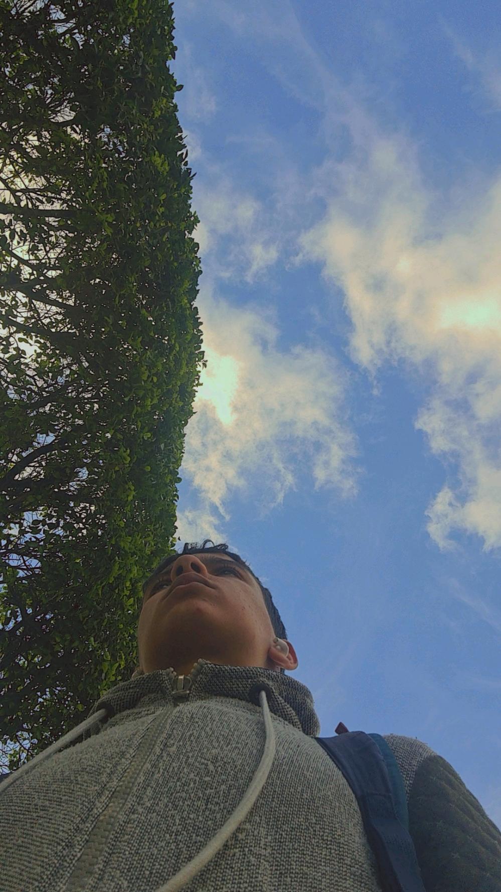 Profile