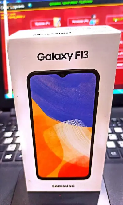 SAMSUNG F13