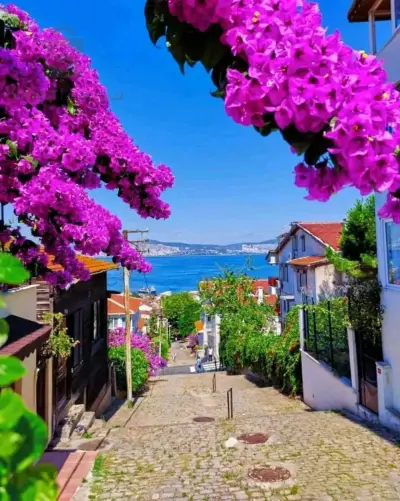 tourisme et voyage