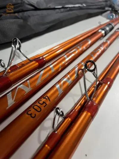 canne daiwa 4.50m