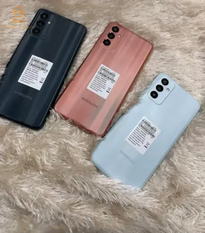 SAMSUNG F13